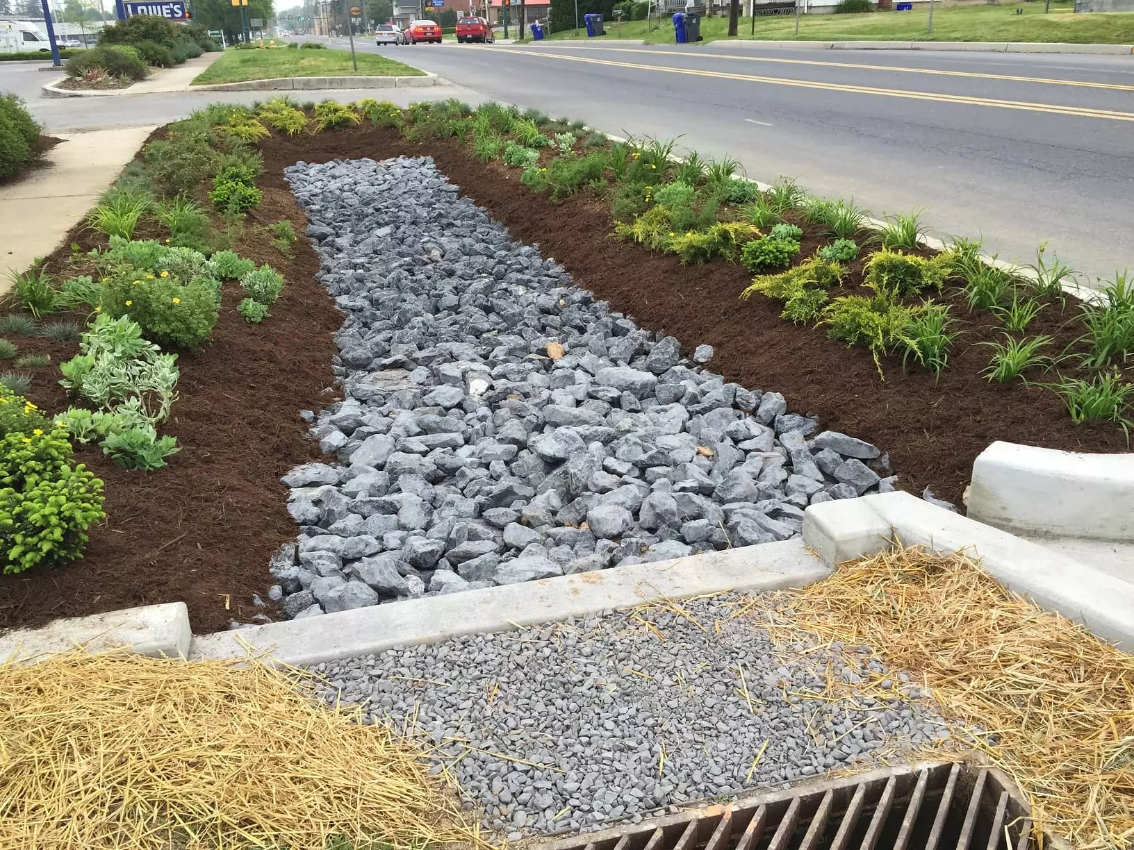 Plants and mulch surround rocks serving as a collection point for stormwater runoff.
